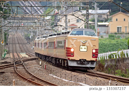 中央本線 上野原 JR東日本 183系 M51編成(豊田) 臨時特急 中央本線 上野原 JR東日本 183系 M51編成(豊田) 臨時特急 133307237
