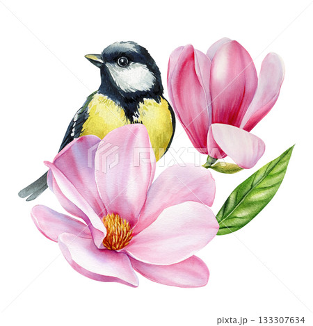 Watercolor bird with pink magnolia flowers and green leaves delicate spring botanical illustration for floral natural design 133307634