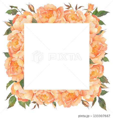 Square frame of lush orange roses. Watercolor illustration hand drawn and isolated on white background. Ideal for decorating postcards, wedding invitations or other celebrations, polygraph, textile Square frame of lush orange roses. Watercolor illustration hand drawn and isolated on white background. Ideal for decorating postcards, wedding invitations or other celebrations, polygraph, textile 133307687