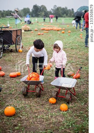 two children standing on a field with carts to collect pumpkins lying around 133308679