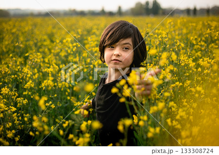 dark haired small girl standing in a vast yellow blooming field dark haired small girl standing in a vast yellow blooming field 133308724
