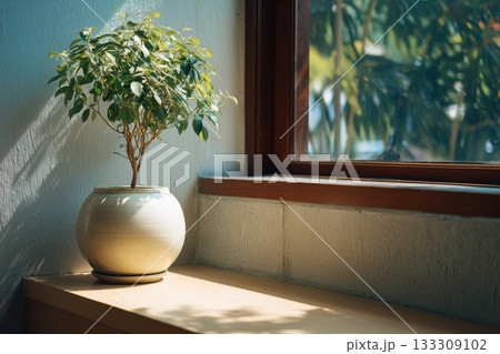 Indoor Plant Adds a Touch of Greenery to the Cozy Window Sill in a Sunlit Room Indoor Plant Adds a Touch of Greenery to the Cozy Window Sill in a Sunlit Room 133309102