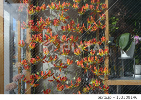 街角の風景　スケッチ写真 133309146