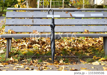 Autumn. Yellow dry leaves and an umbrella, attributes of autumn. 133309506