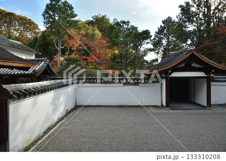 東福寺塔頭 龍吟庵 方丈南庭 無の庭(京都市東山区) 東福寺塔頭 龍吟庵 方丈南庭 無の庭(京都市東山区) 133310208