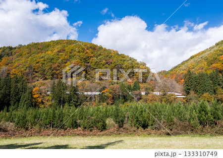 【秋田新幹線】紅葉する山間部を走行する特急こまち 【秋田新幹線】紅葉する山間部を走行する特急こまち 133310749