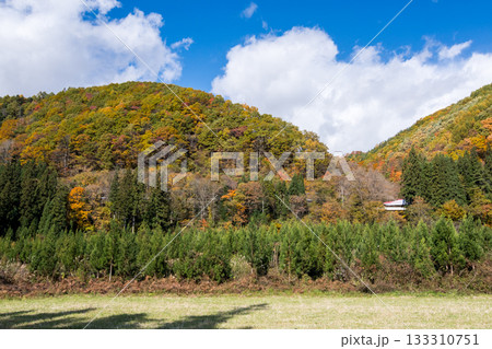 【秋田新幹線】紅葉する山間部を走行する特急こまち 【秋田新幹線】紅葉する山間部を走行する特急こまち 133310751