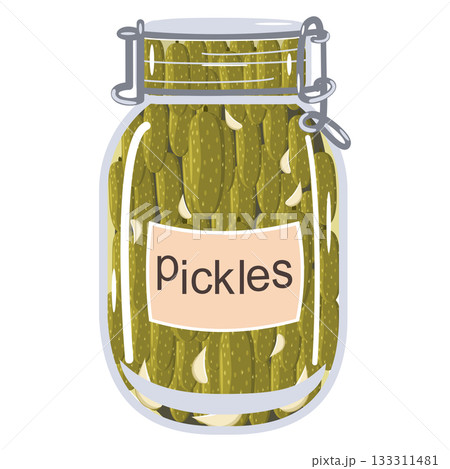 Homemade gherkins marinated small cornichons in glass jar vector illustration Homemade gherkins marinated small cornichons in glass jar vector illustration 133311481