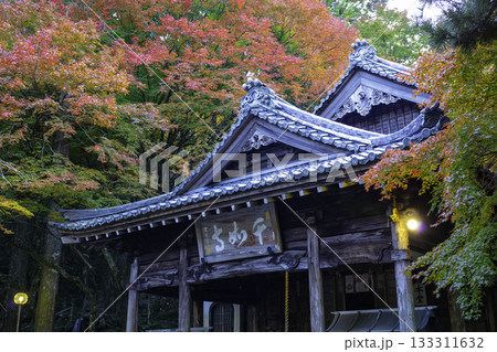 紅葉が美しい雷山千如寺大悲王院（福岡県糸島市） 133311632