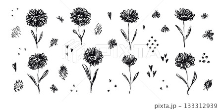 Sketch textured line brush stroke drawing black flowers. Delicate outline ink hand drawn floral elements, butterflies, shapes for women poster and feminine greeting card design, logo, tattoo 133312939