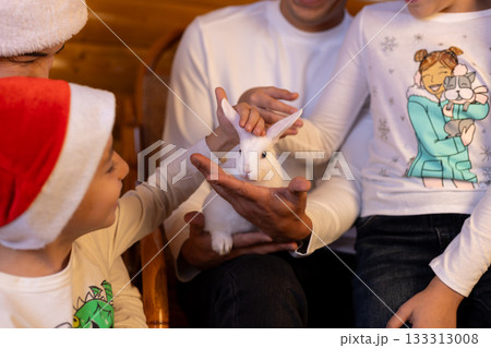 family celebrates Christmas around a decorated Christmas tree and pet a rabbit 133313008