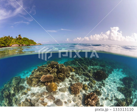 背景素材 133313110