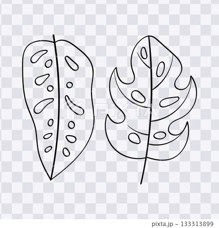 Hand drawn monstera tropical leaves line art coloring page collection vector illustration Hand drawn monstera tropical leaves line art coloring page collection vector illustration 133313899