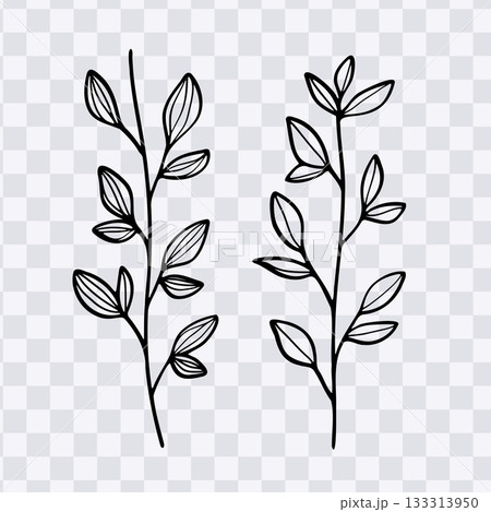Leaves line art nature hand drawing collection vector illustration Leaves line art nature hand drawing collection vector illustration 133313950