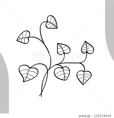Hand drawn line art heart shaped leaves vine botanical illustration 133314010