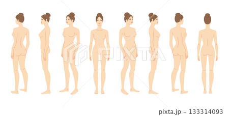 Vector illustration of a 7 head woman, displaying multiple angles including front, side, and back. Perfect for fashion Vector illustration of a 7 head woman, displaying multiple angles including front, side, and back. Perfect for fashion 133314093