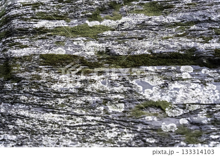 紀州の青石　素材 133314103