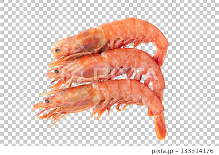 三個生紅蝦（帶頭），透明背景（png） 133314176