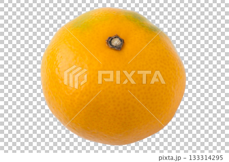 透明背景（png）に1個のみかん 133314295