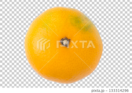 一個透明背景上的橘子(png) 一個透明背景上的橘子(png) 133314296