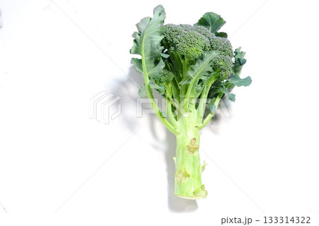 ブロッコリー - 収穫したての新鮮なブロッコリー ブロッコリー - 収穫したての新鮮なブロッコリー 133314322