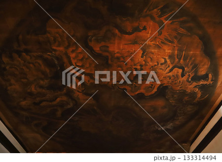 京都・尊陽院の天井画 133314494