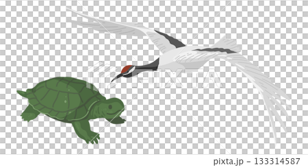 シンプルな亀と鶴のイラスト 133314587