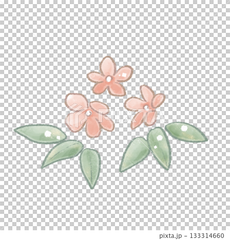 A soft, colored pencil-style illustration of pink flowers (illustration, illustration material) 133314660