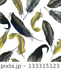 Seamless pattern watercolor illustrations of feathers. Isolated on a transparent background, hand-drawn. For cards, scrapbooking, wallpaper and textiles. 133315123