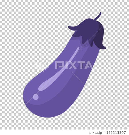 simple eggplant illustration simple eggplant illustration 133315307
