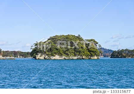宮城県の松島 宮城県の松島 133315677