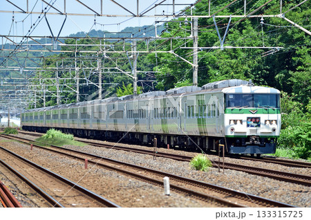 東海道本線　二宮－国府津　JR東日本　185系　A5編成（大宮）　踊り子 133315725