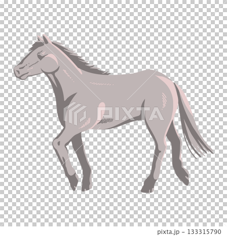Realistic white horse illustration 133315790