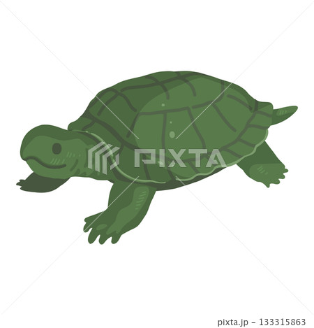シンプルな亀のイラスト 133315863