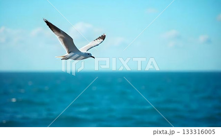 A seagull soaring over the ocean, symbolizing freedom and the journey of migratory birds on World Migratory Bird Day A seagull soaring over the ocean, symbolizing freedom and the journey of migratory birds on World Migratory Bird Day 133316005