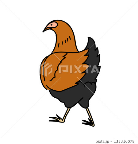 イラスト素材: 茶色と黒の比内地鶏を描いたシンプルなイラスト 133316079