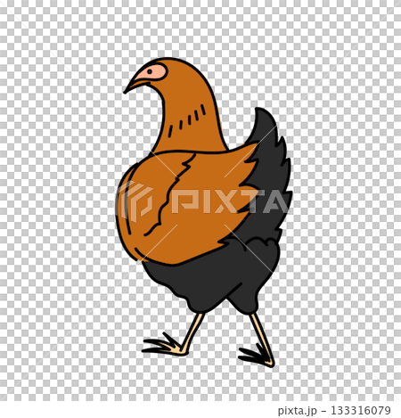 イラスト素材: 茶色と黒の比内地鶏を描いたシンプルなイラスト 133316079