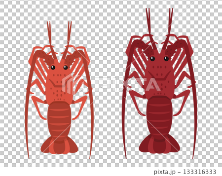 Auspicious luxury food, simple vector illustration of spiny lobster Auspicious luxury food, simple vector illustration of spiny lobster 133316333