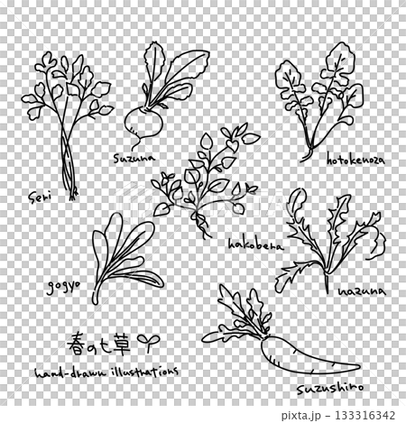 Spring Seven Herbs Illustration Set - Black Line Art 133316342