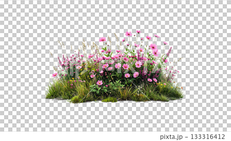 Fresh green grass and bright flowers isolated on white background Fresh green grass and bright flowers isolated on white background 133316412