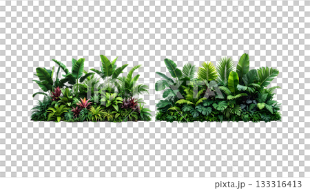 Fresh green grass and bright flowers isolated on white background Fresh green grass and bright flowers isolated on white background 133316413