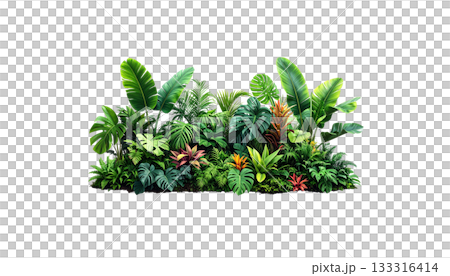 Fresh green grass and bright flowers isolated on white background Fresh green grass and bright flowers isolated on white background 133316414