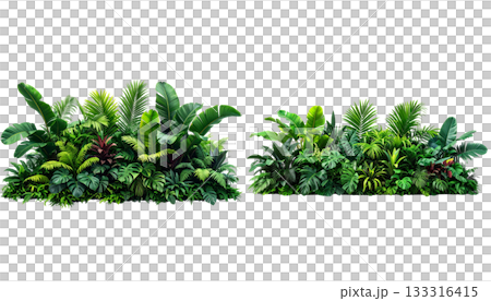 Fresh green grass and bright flowers isolated on white background 133316415