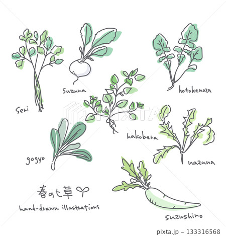春の七草イラストセット シンプルでお洒落な線画イラスト 春の七草イラストセット シンプルでお洒落な線画イラスト 133316568