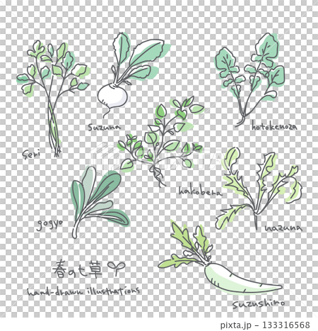 春の七草イラストセット シンプルでお洒落な線画イラスト 春の七草イラストセット シンプルでお洒落な線画イラスト 133316568