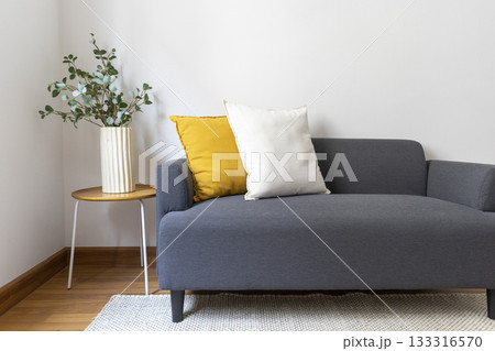 Modern retro concept of home interior with comfortable pillow on sofa, coffee table, plants and carpet. Stylish home decor of living room. Modern retro concept of home interior with comfortable pillow on sofa, coffee table, plants and carpet. Stylish home decor of living room. 133316570