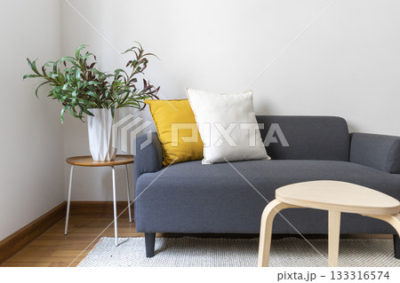 Modern retro concept of home interior with comfortable pillow on sofa, coffee table, plants and carpet. Stylish home decor of living room. Modern retro concept of home interior with comfortable pillow on sofa, coffee table, plants and carpet. Stylish home decor of living room. 133316574