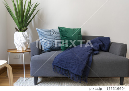 Scandinavian interior decoration of grey sofa with blue and green pillow and blanket on it. Green plant pot on side table. Scandinavian interior decoration of grey sofa with blue and green pillow and blanket on it. Green plant pot on side table. 133316694