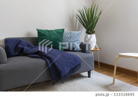 Scandinavian interior decoration of grey sofa with blue and green pillow and blanket on it. Green plant pot on side table. Scandinavian interior decoration of grey sofa with blue and green pillow and blanket on it. Green plant pot on side table. 133316695