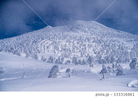 3月の八甲田山に立つスノーモンスター群 133316861